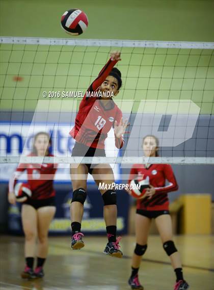 Thumbnail 1 in Venice vs Cleveland (CIF LACS Final) photogallery.