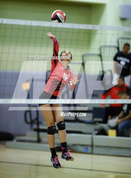 Thumbnail 3 in Venice vs Cleveland (CIF LACS Final) photogallery.