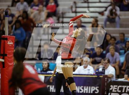 Thumbnail 3 in Venice vs Cleveland (CIF LACS Final) photogallery.