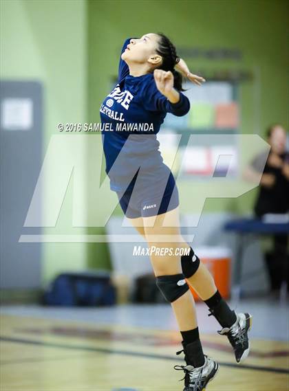 Thumbnail 1 in Venice vs Cleveland (CIF LACS Final) photogallery.