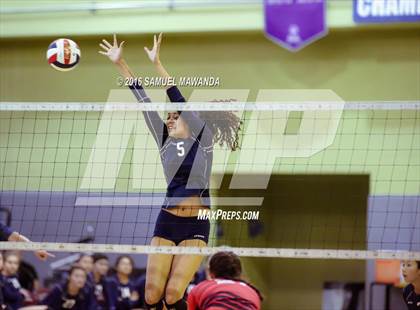 Thumbnail 2 in Venice vs Cleveland (CIF LACS Final) photogallery.
