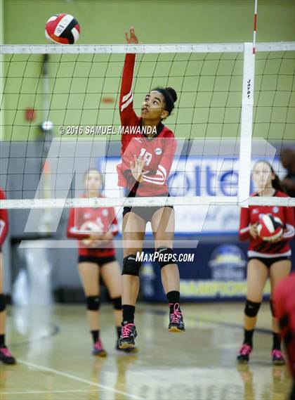 Thumbnail 1 in Venice vs Cleveland (CIF LACS Final) photogallery.