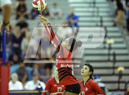 Thumbnail 3 in Venice vs Cleveland (CIF LACS Final) photogallery.