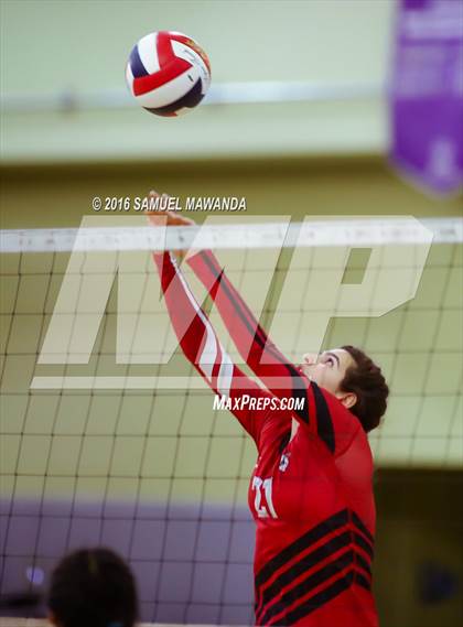 Thumbnail 1 in Venice vs Cleveland (CIF LACS Final) photogallery.