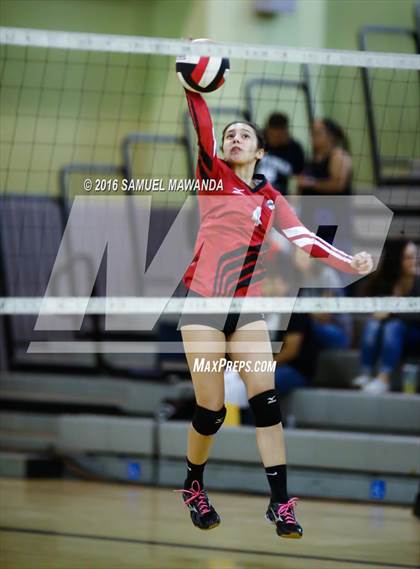 Thumbnail 3 in Venice vs Cleveland (CIF LACS Final) photogallery.