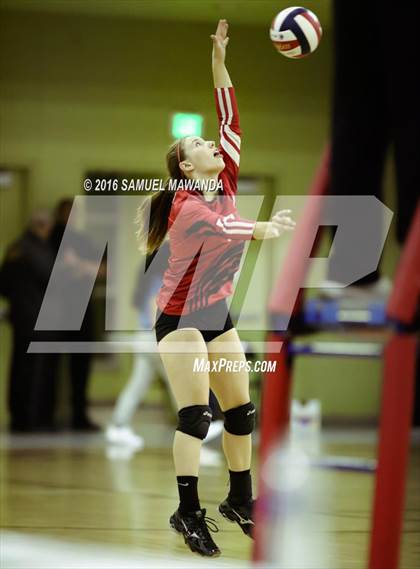 Thumbnail 1 in Venice vs Cleveland (CIF LACS Final) photogallery.