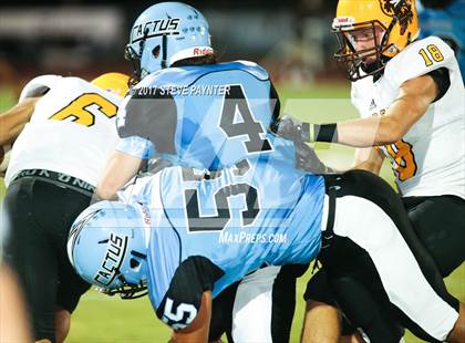 Thumbnail 3 in Marcos de Niza @ Cactus photogallery.