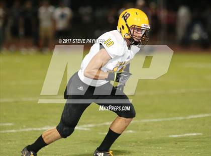 Thumbnail 1 in Marcos de Niza @ Cactus photogallery.
