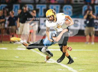 Thumbnail 3 in Marcos de Niza @ Cactus photogallery.