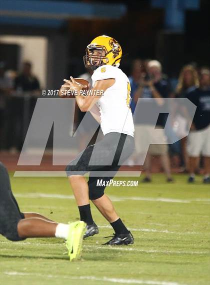 Thumbnail 3 in Marcos de Niza @ Cactus photogallery.