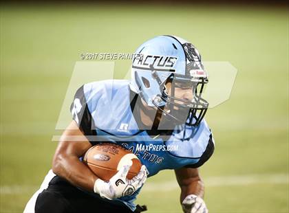 Thumbnail 1 in Marcos de Niza @ Cactus photogallery.