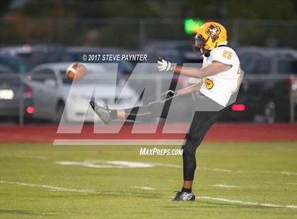 Thumbnail 1 in Marcos de Niza @ Cactus photogallery.