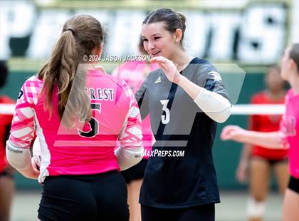Thumbnail 2 in Hoke County @ Pinecrest photogallery.