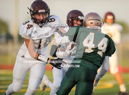 Thumbnail 2 in Shadow Ridge @ Campo Verde photogallery.