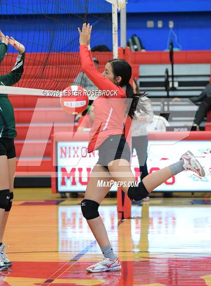 Thumbnail 2 in Luling @ Nixon-Smiley photogallery.