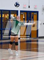 Photo from the gallery "Santo @ Perrin-Whitt"