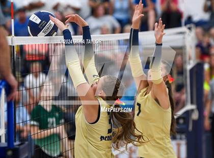 Thumbnail 3 in Santo @ Perrin-Whitt photogallery.
