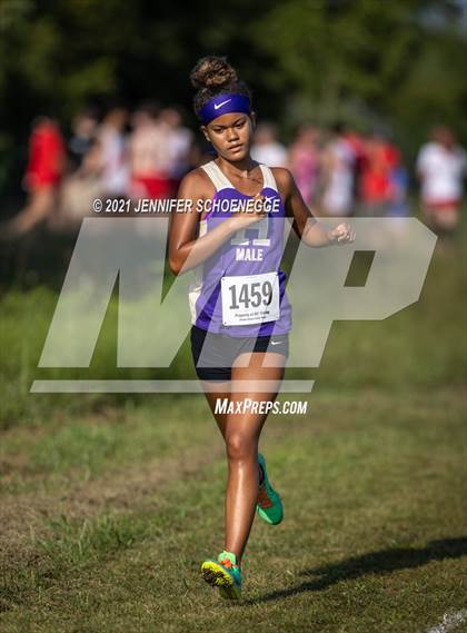Thumbnail 3 in Fleet Feet Relays photogallery.