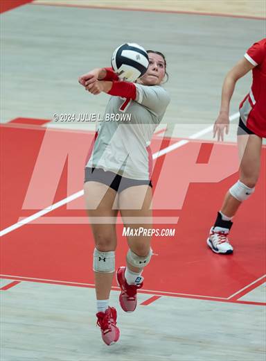 null - Photo 91