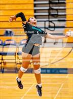 Photo from the gallery "Sheldon @ Cosumnes Oaks"