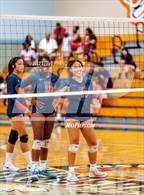 Photo from the gallery "Sheldon @ Cosumnes Oaks"