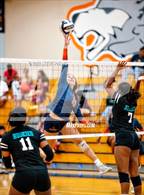 Photo from the gallery "Sheldon @ Cosumnes Oaks"