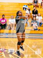 Photo from the gallery "Sheldon @ Cosumnes Oaks"