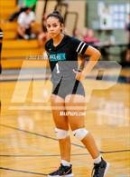 Photo from the gallery "Sheldon @ Cosumnes Oaks"