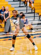 Photo from the gallery "Sheldon @ Cosumnes Oaks"
