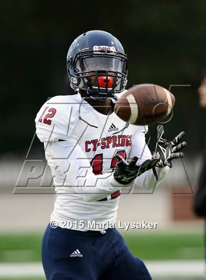 Thumbnail 1 in Cypress Springs @ Langham Creek photogallery.