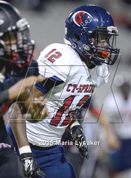 Thumbnail 1 in Cypress Springs @ Langham Creek photogallery.