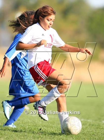Thumbnail 3 in Emmett @ Weiser photogallery.
