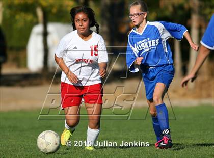 Thumbnail 1 in Emmett @ Weiser photogallery.