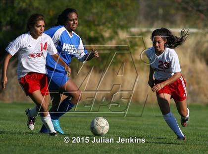 Thumbnail 3 in Emmett @ Weiser photogallery.