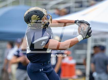 Thumbnail 1 in DePaul Catholic @ Pope John XXIII photogallery.