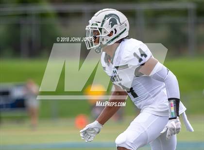 Thumbnail 3 in DePaul Catholic @ Pope John XXIII photogallery.