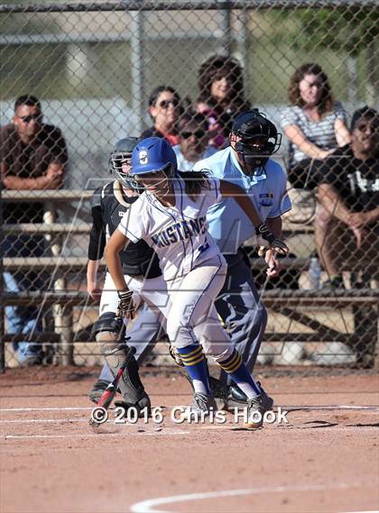 Thumbnail 2 in Douglas @ Sahuarita photogallery.