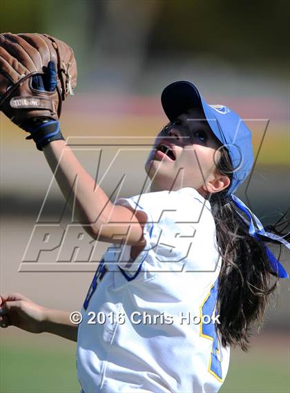 Thumbnail 3 in Douglas @ Sahuarita photogallery.