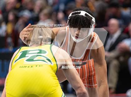 Thumbnail 2 in CHSAA State Championship - 4A Finals photogallery.