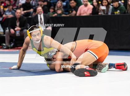 Thumbnail 2 in CHSAA State Championship - 4A Finals photogallery.