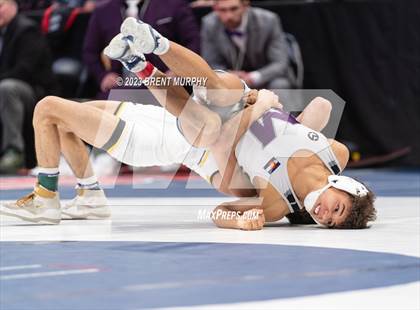 Thumbnail 1 in CHSAA State Championship - 4A Finals photogallery.