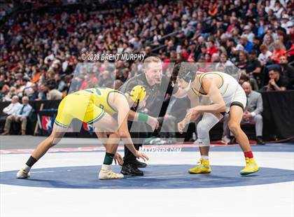 Thumbnail 3 in CHSAA State Championship - 4A Finals photogallery.