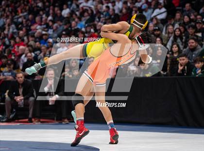 Thumbnail 2 in CHSAA State Championship - 4A Finals photogallery.