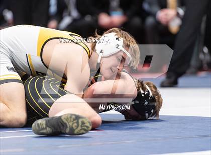 Thumbnail 1 in CHSAA State Championship - 4A Finals photogallery.