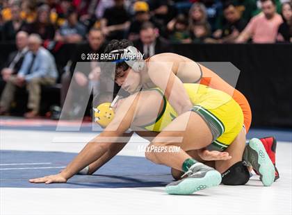 Thumbnail 2 in CHSAA State Championship - 4A Finals photogallery.
