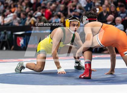 Thumbnail 2 in CHSAA State Championship - 4A Finals photogallery.
