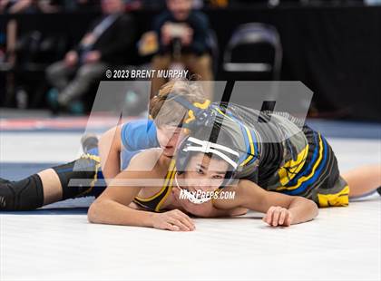 Thumbnail 2 in CHSAA State Championship - 4A Finals photogallery.