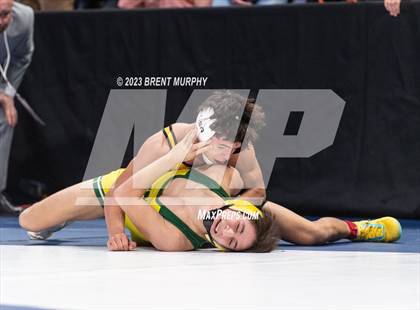 Thumbnail 1 in CHSAA State Championship - 4A Finals photogallery.