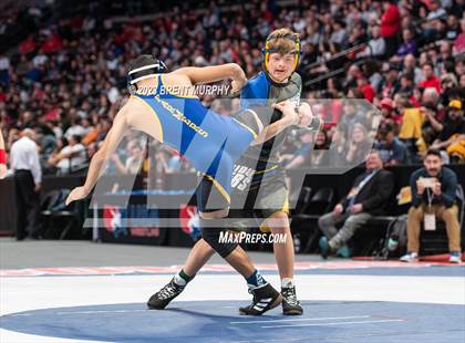 Thumbnail 3 in CHSAA State Championship - 4A Finals photogallery.