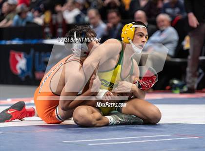 Thumbnail 1 in CHSAA State Championship - 4A Finals photogallery.